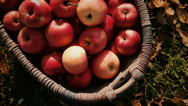 Beignets aux pommes traditionnels : saveurs d’antan et astuces de chef
