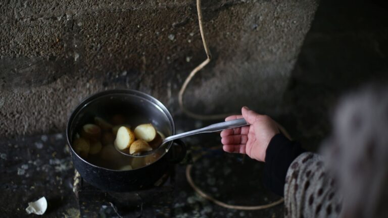 Ragoût de pommes de terre traditionnel : recette de grand-mère revisitée