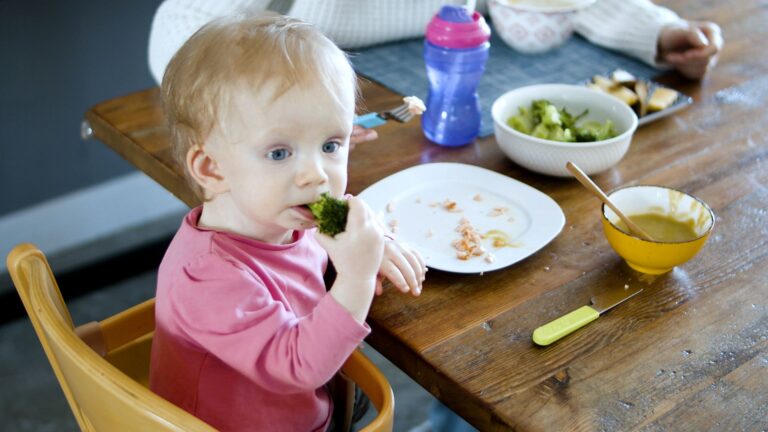Courgettes : temps de cuisson pour bébé, textures adaptées et sécurité