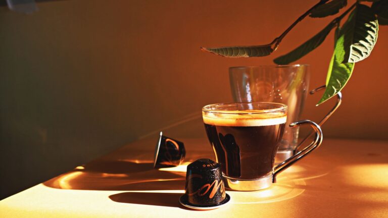 Nespresso équivalent pods intensité 10 et plus : amateurs de café corsé
