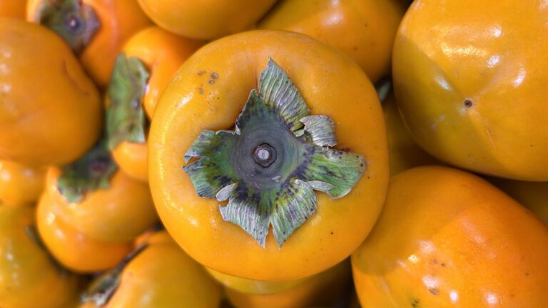 Kaki (fruit) : manger avec la peau, risques, bienfaits et astuces
